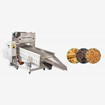 Biscuit Crusing Machine