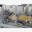 Thermoform Packaging Machines